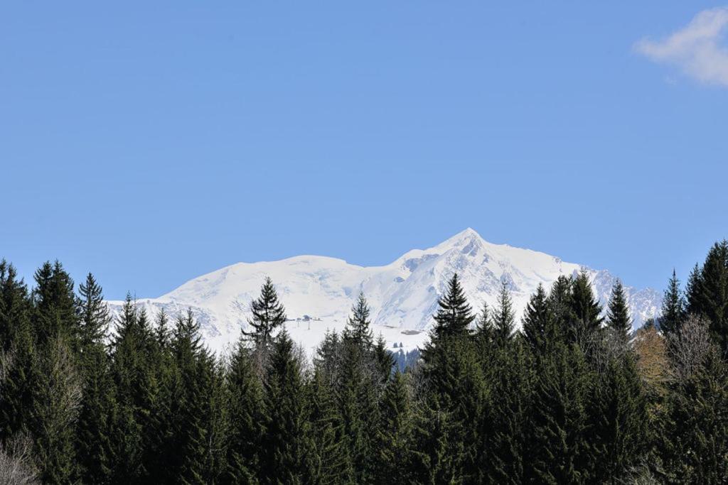 Chalet Le Prariand - Megève Kültér fotó